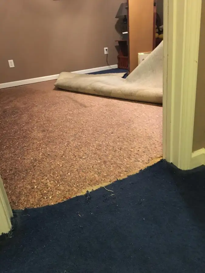 Carpet pad removal revealing water damage during Drying & Dehumidification in Perry