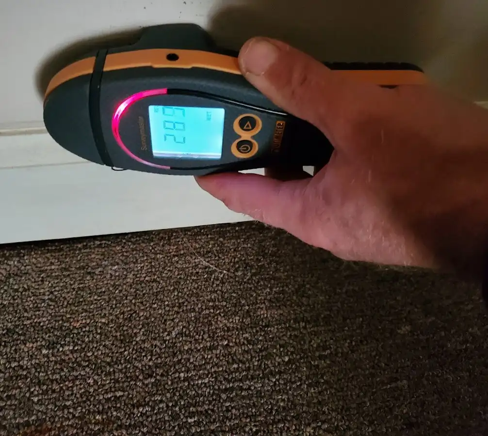 Moisture detection at baseboard during Sewage Cleanup & Sanitation in Perry
